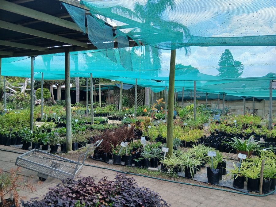 Commercial Property for Sale in C Place Eastern Cape